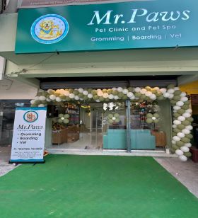 Pet Boarding Area at Mr Paws Hyderabad